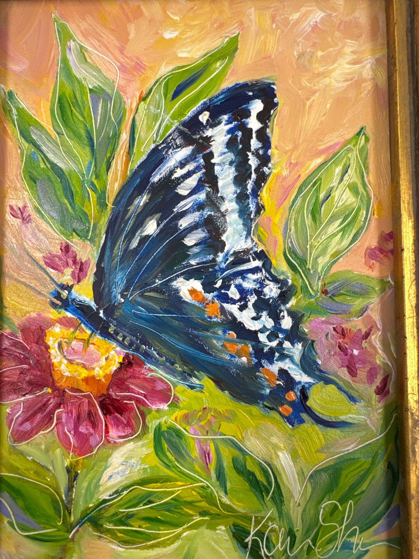 Butterfly on a Zinnia
