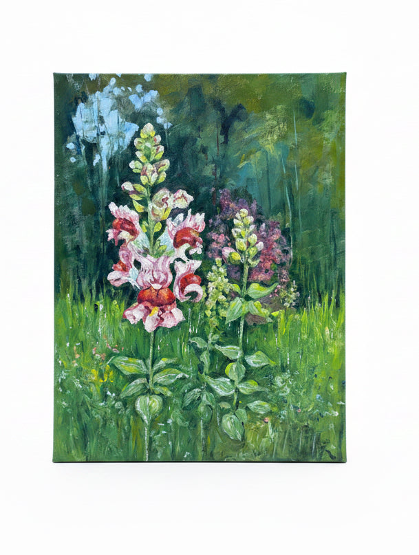 Snap Dragons