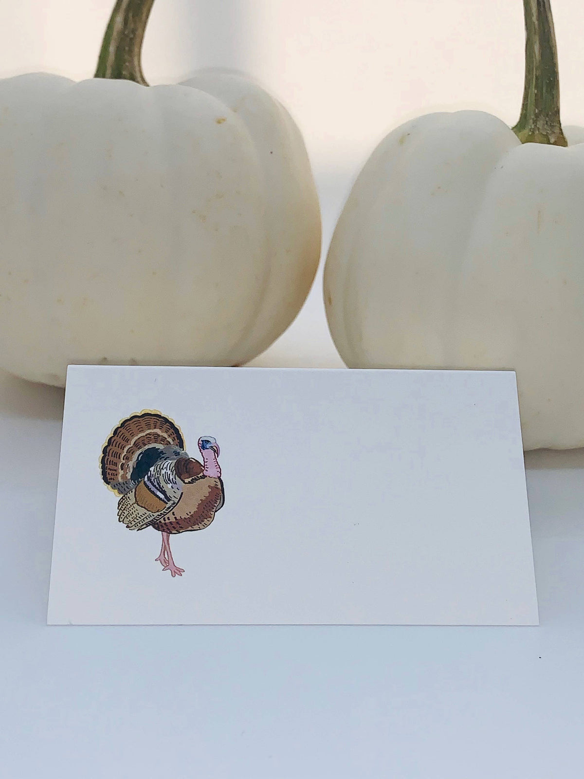 Turkey - Place Cards