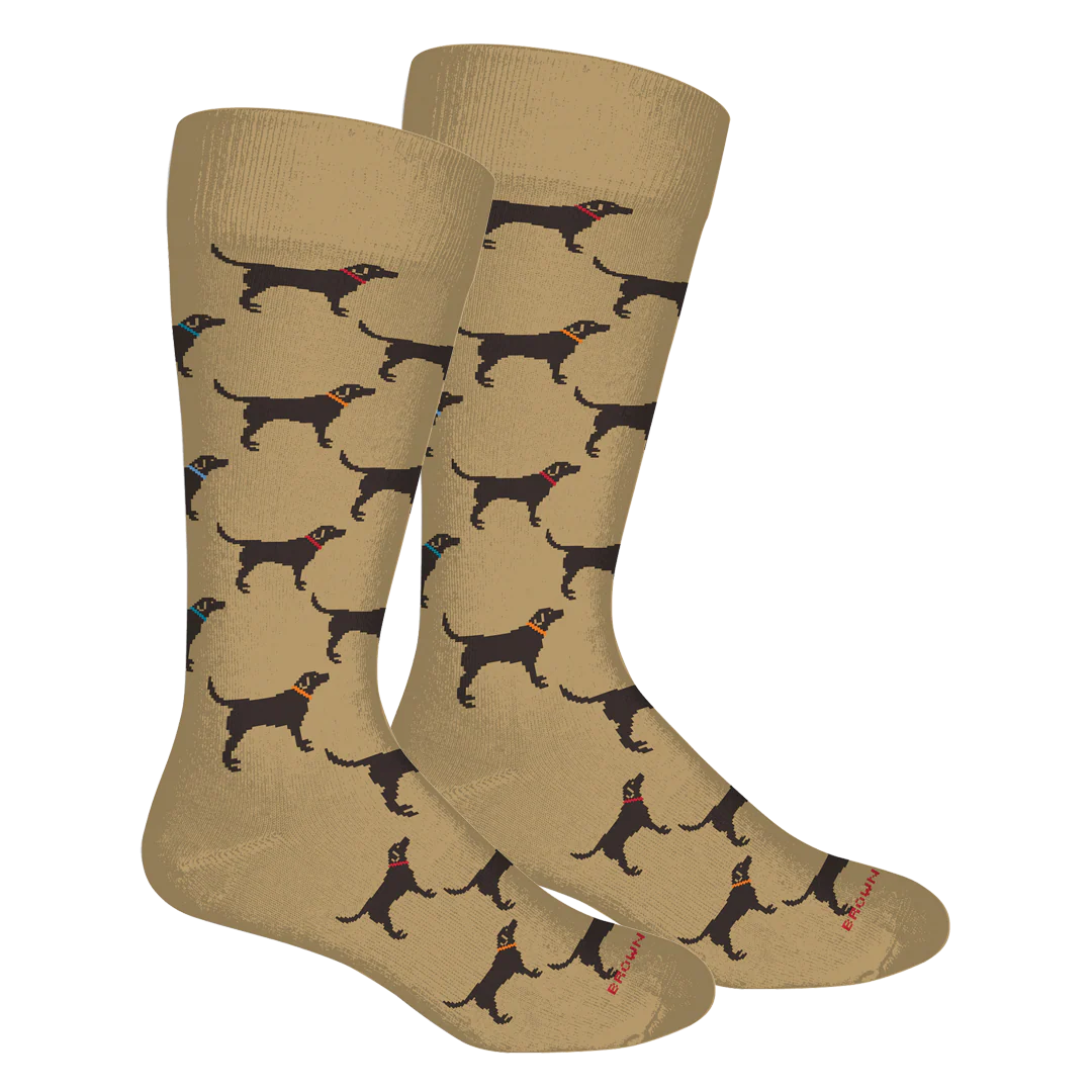 Labs- Khaki