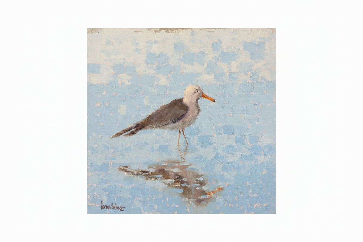 Beach Gull