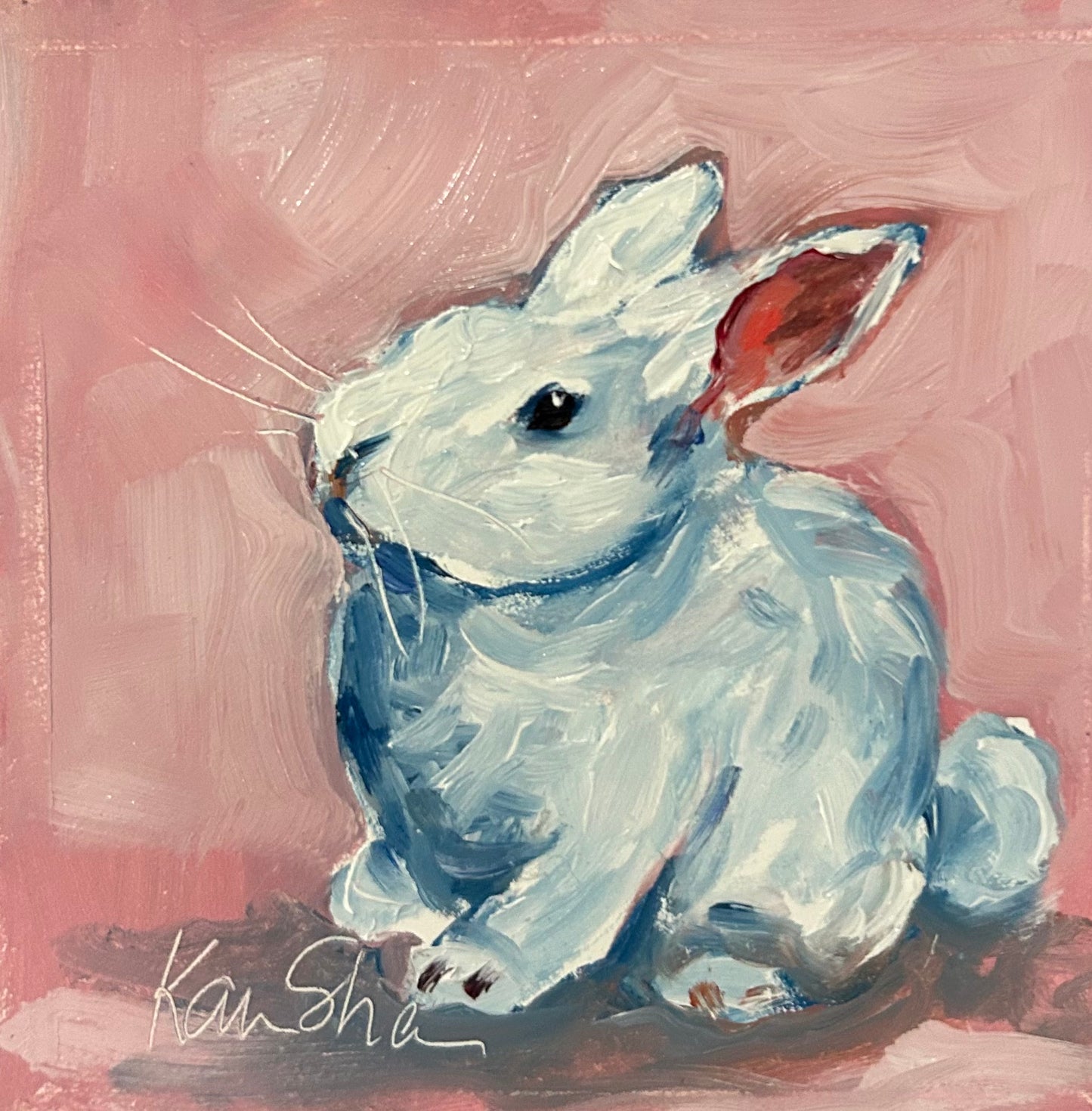White Bunny
