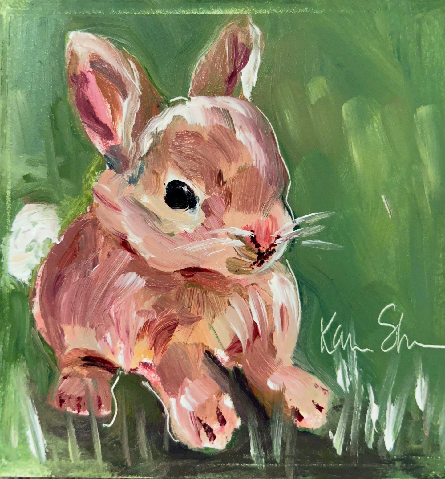 Cotton Tail