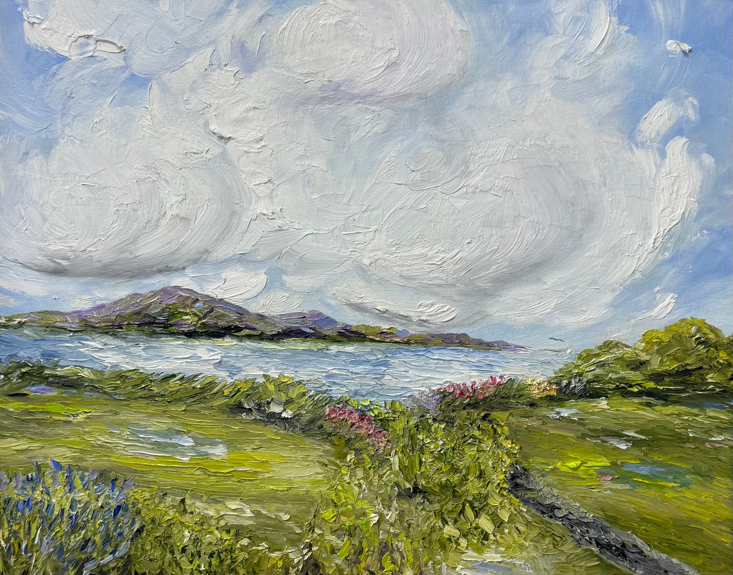 Meanwhile in County Down