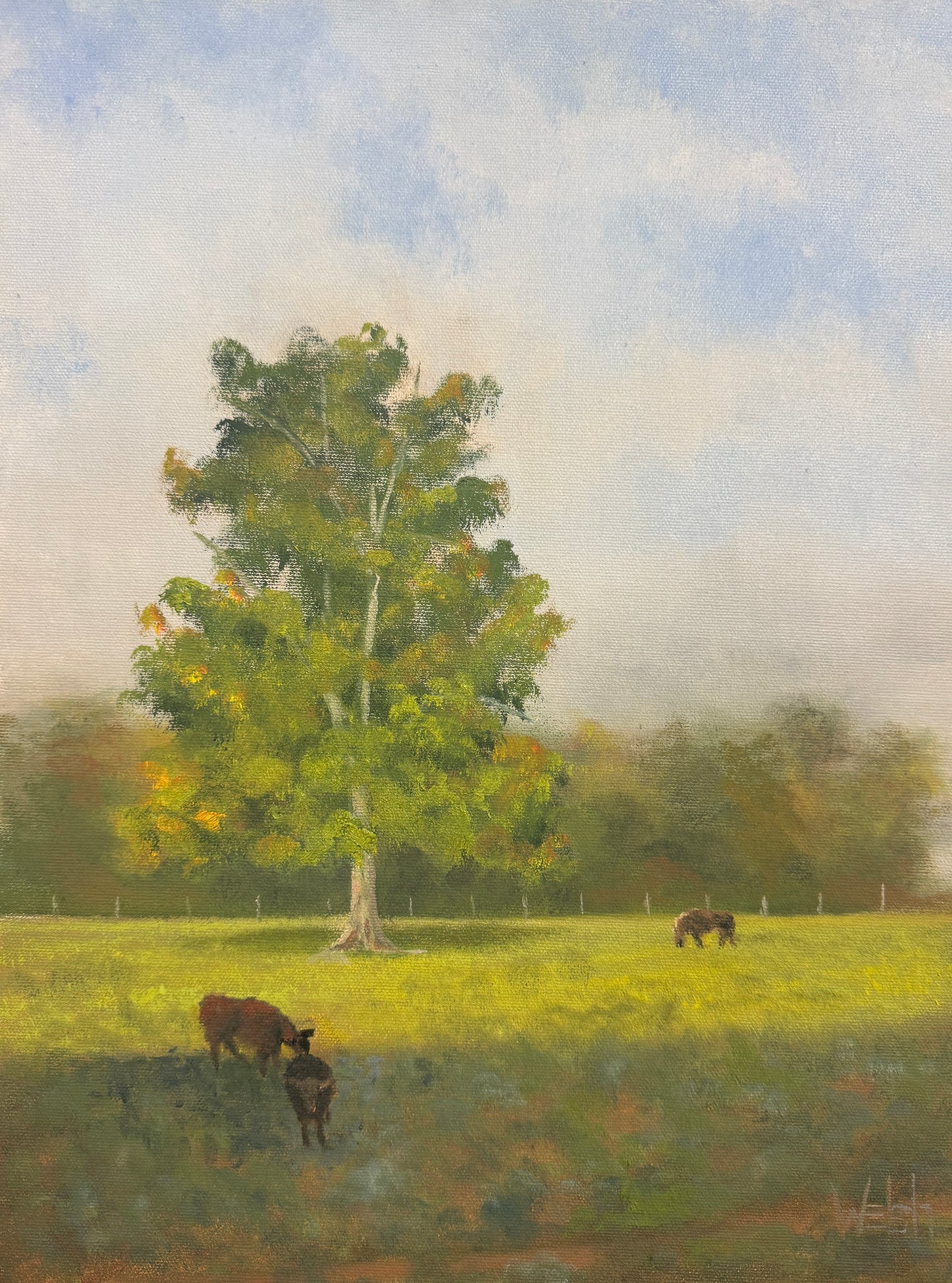 Grazing Along Blue Creek