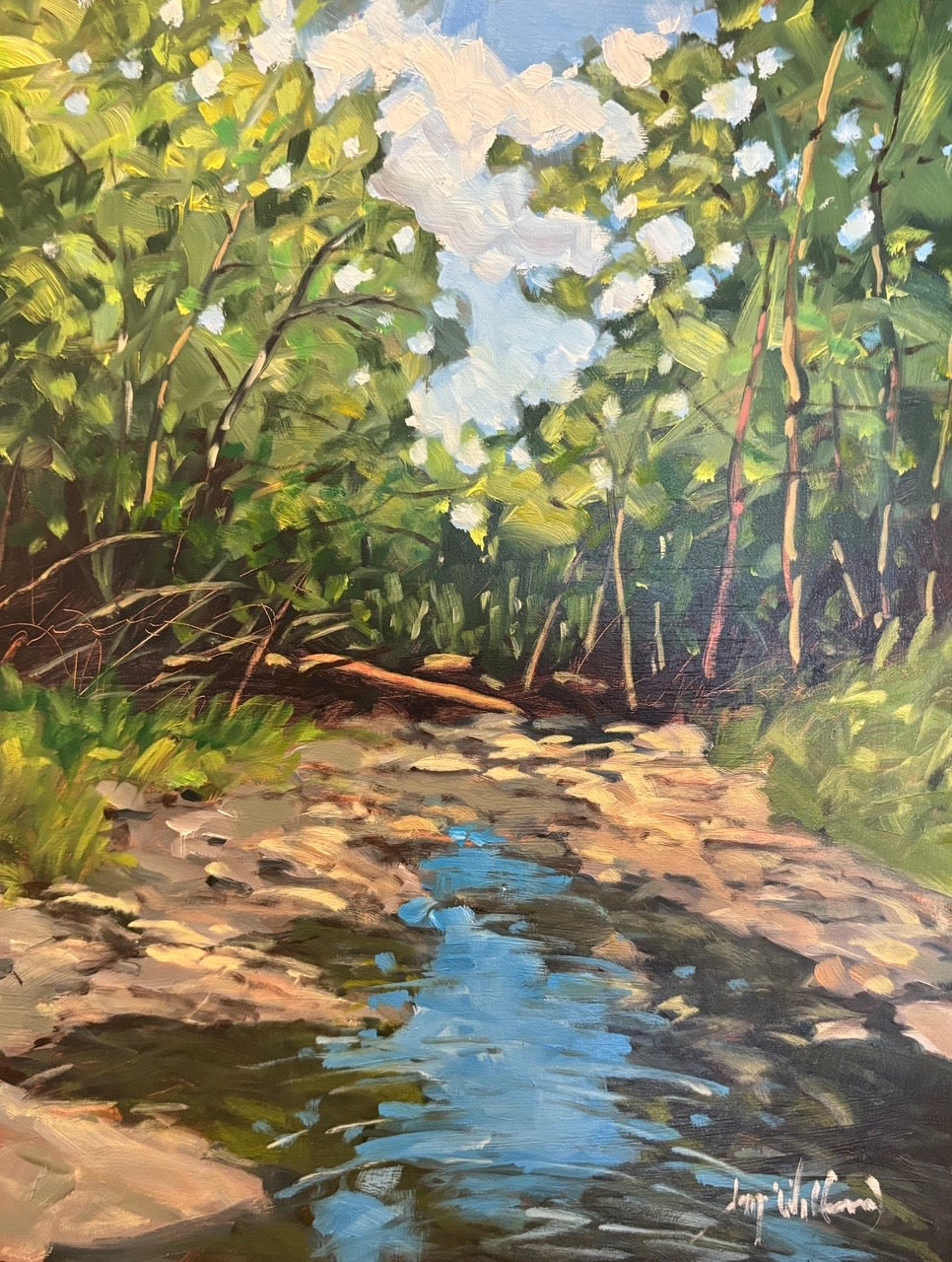 Forest Creek