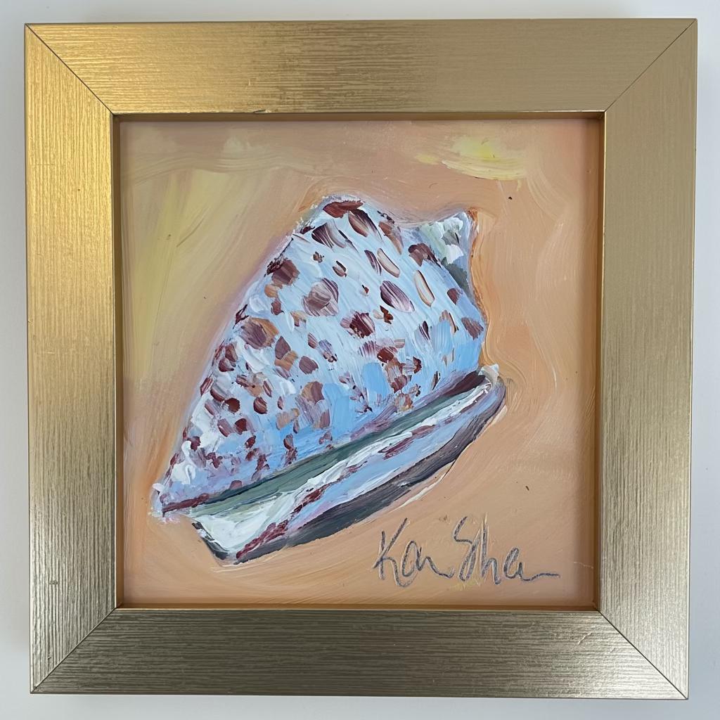 Conus Shell