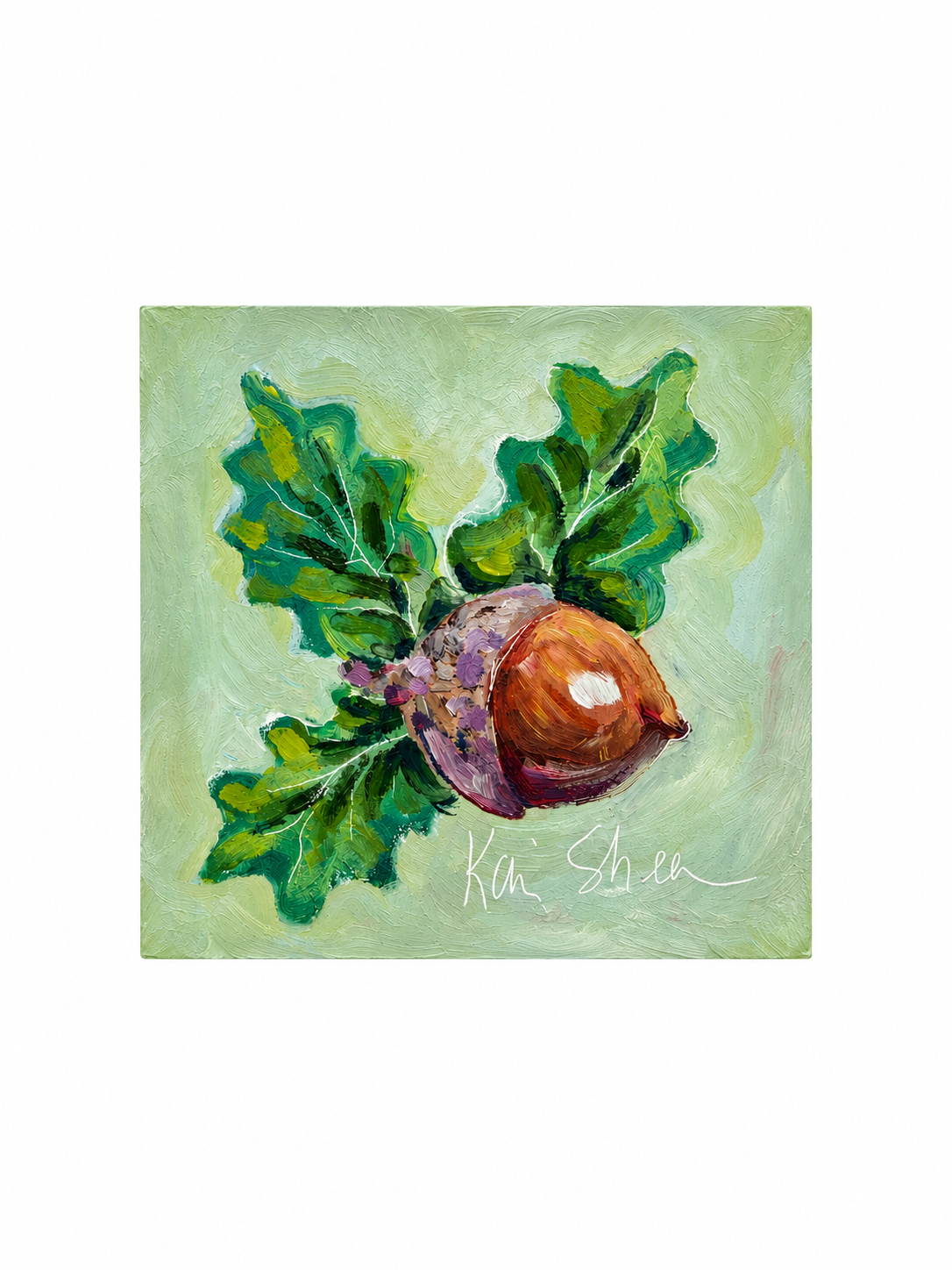 Acorn