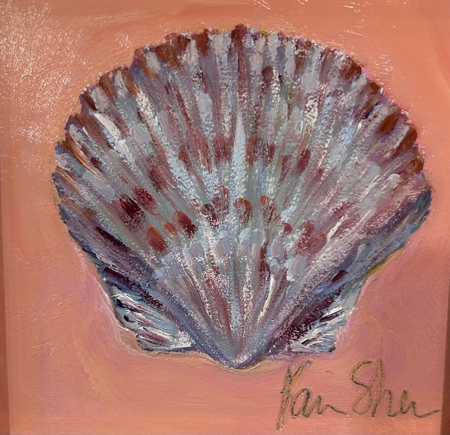 Scallop Shell