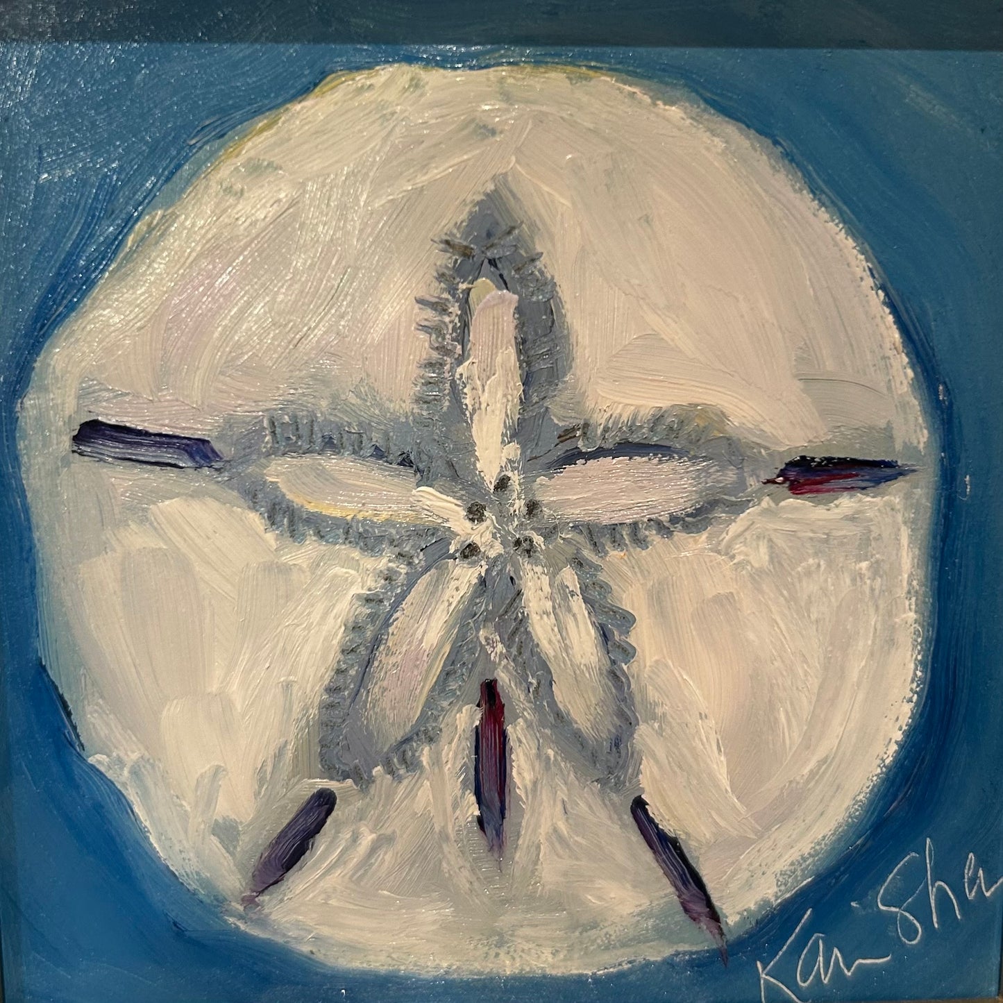 Sand Dollar