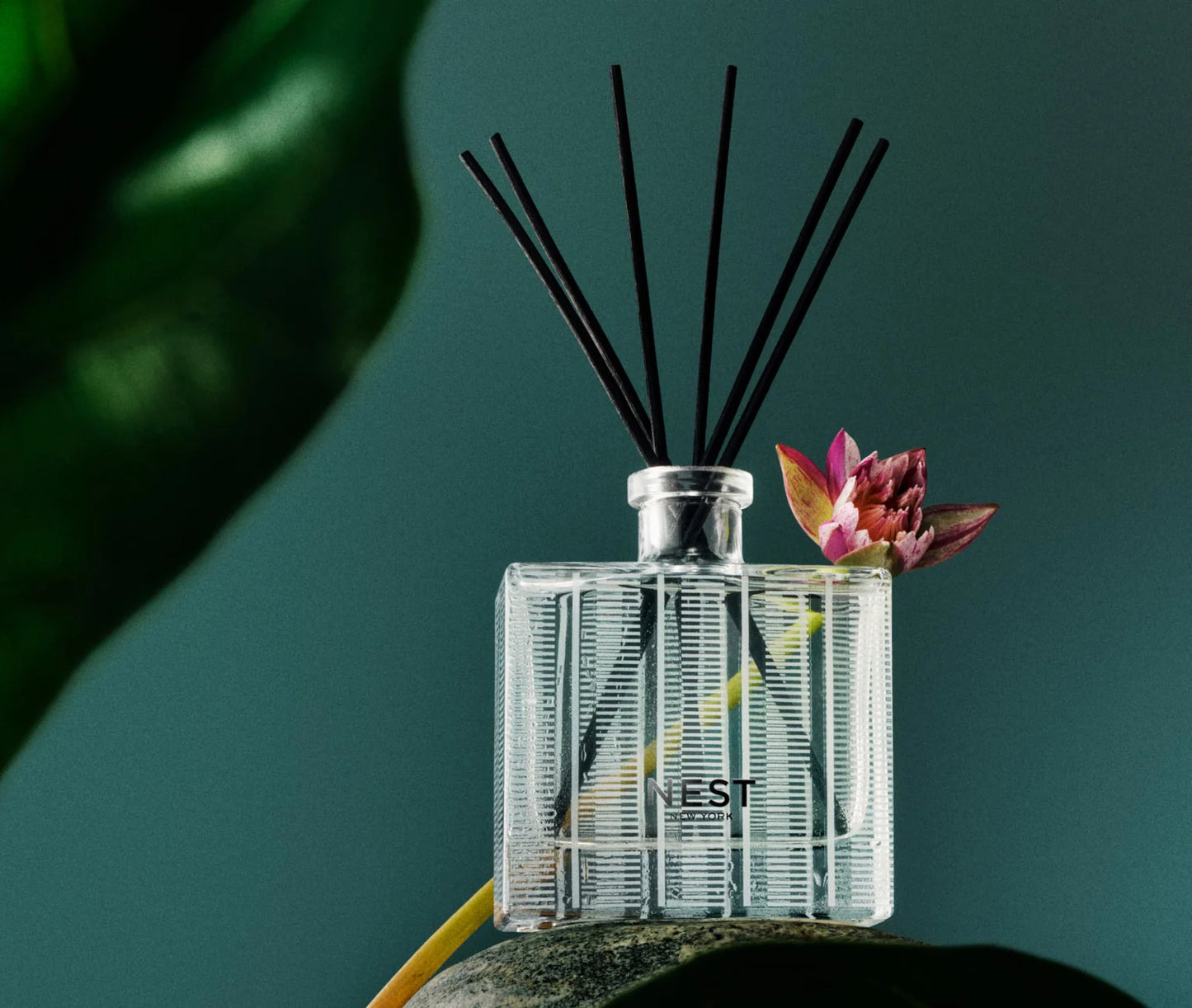 NEST Reed Diffuser 5.9 fl oz. - Forest Rain