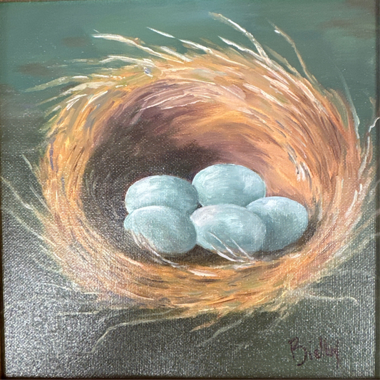 Robin’s Nest