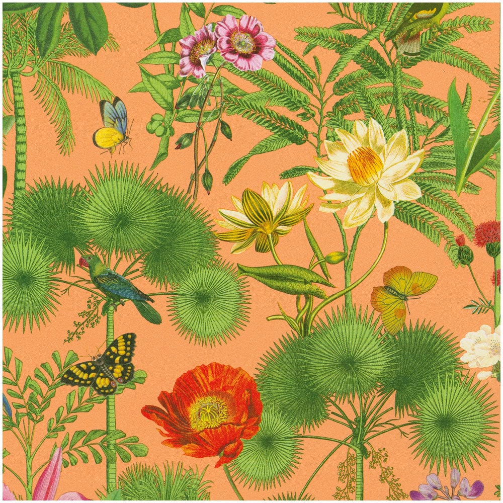 Paradise Garden Melon Gift Wrap