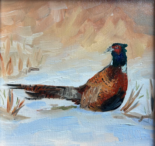 Fall Pheasant