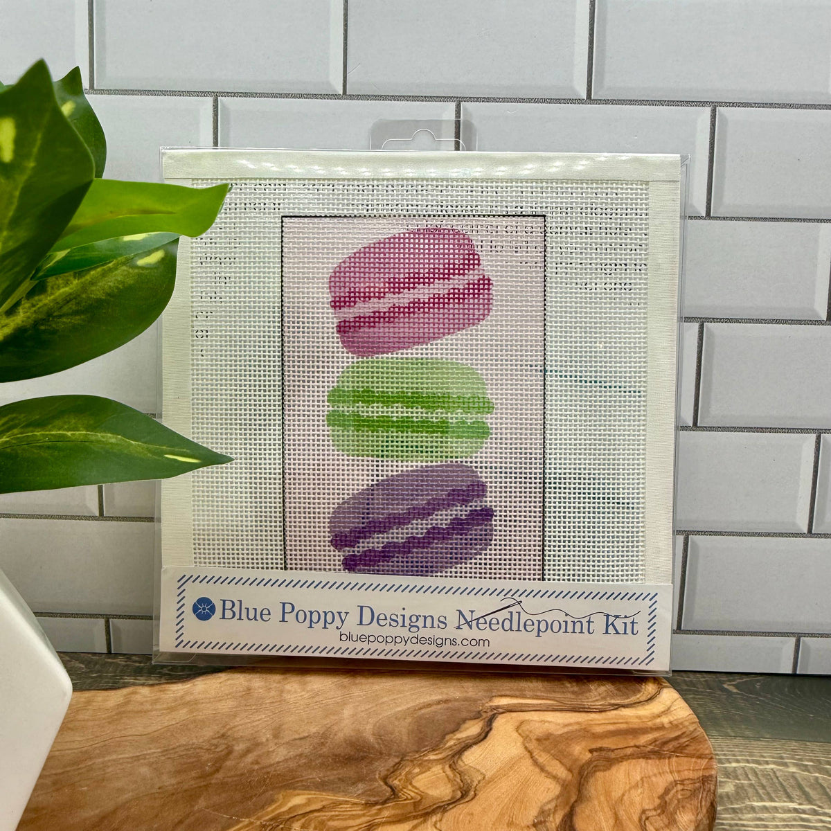 Paris Macarons Needlepoint Design