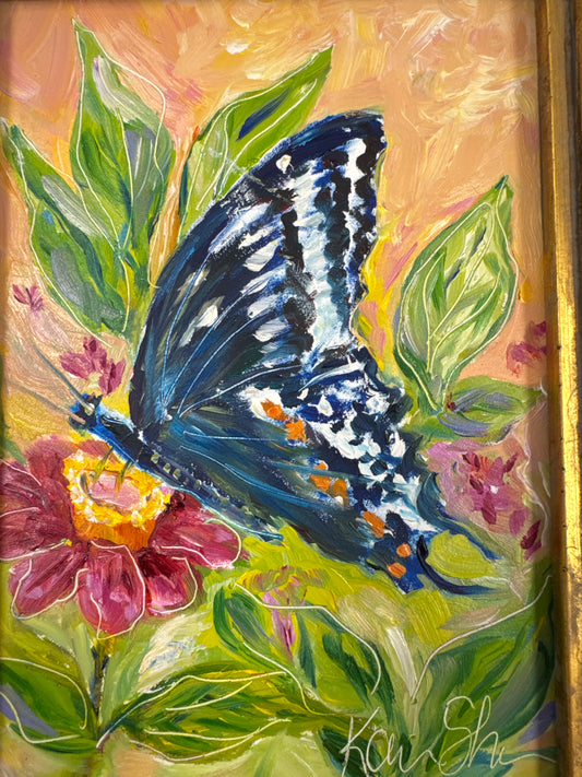 Butterfly on a Zinnia