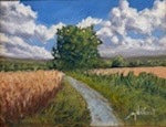 Trail