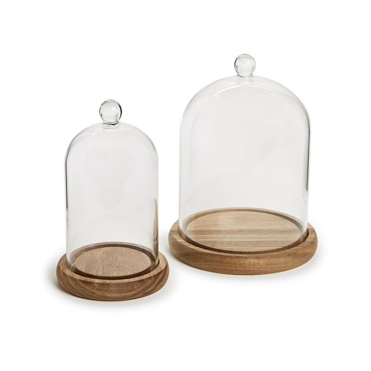 Cloche with Wooden Base, Small or Large