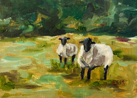 Pasture Pair