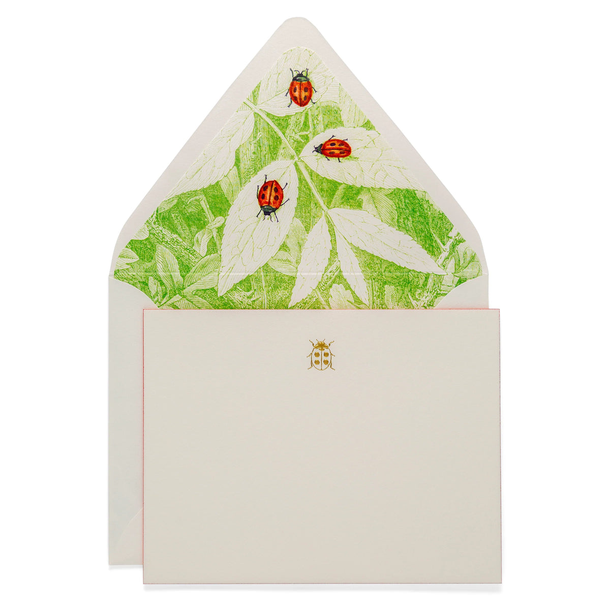 Fancy Pants Notecards | Ladybug