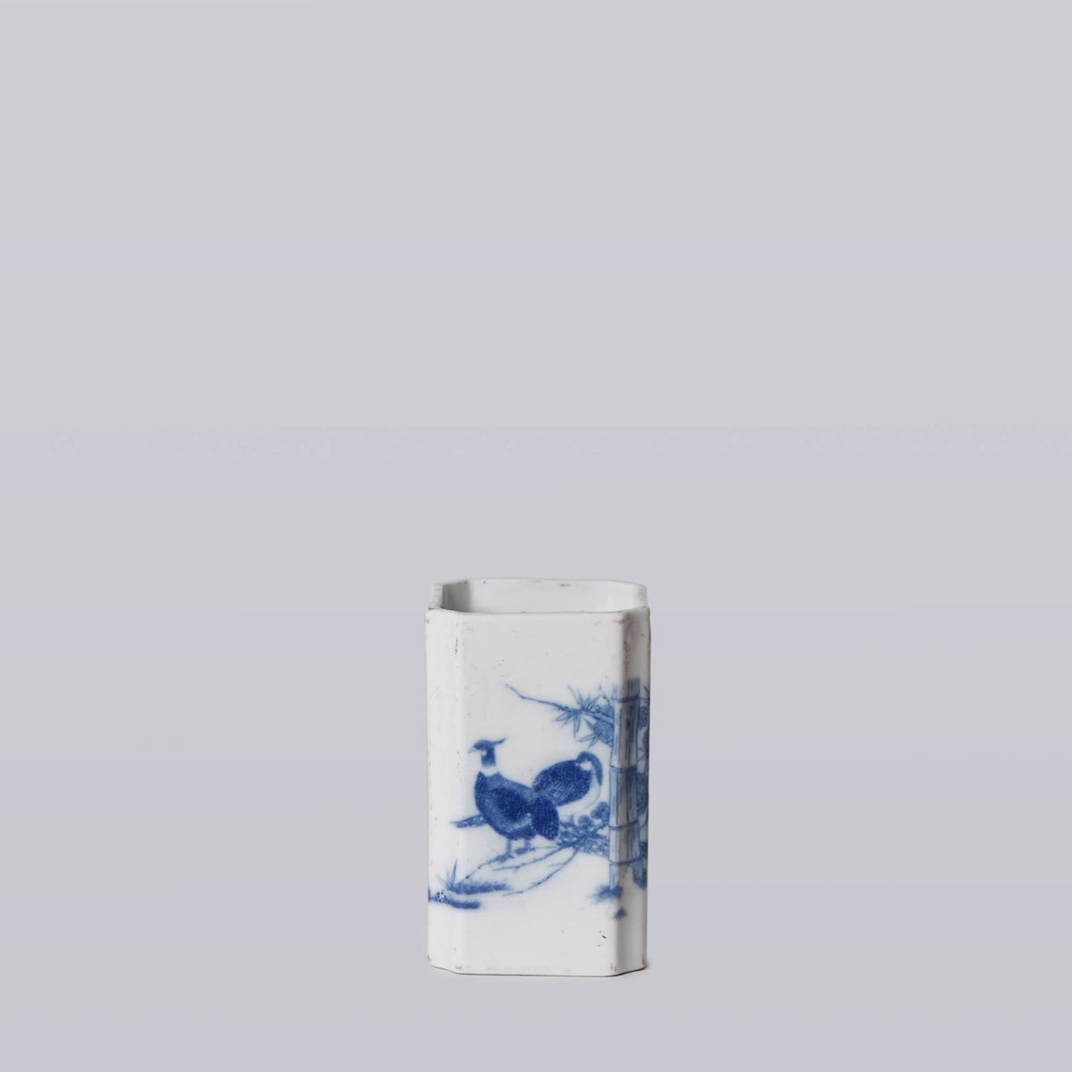 Blue and White Porcelain Pheasant Square Vase