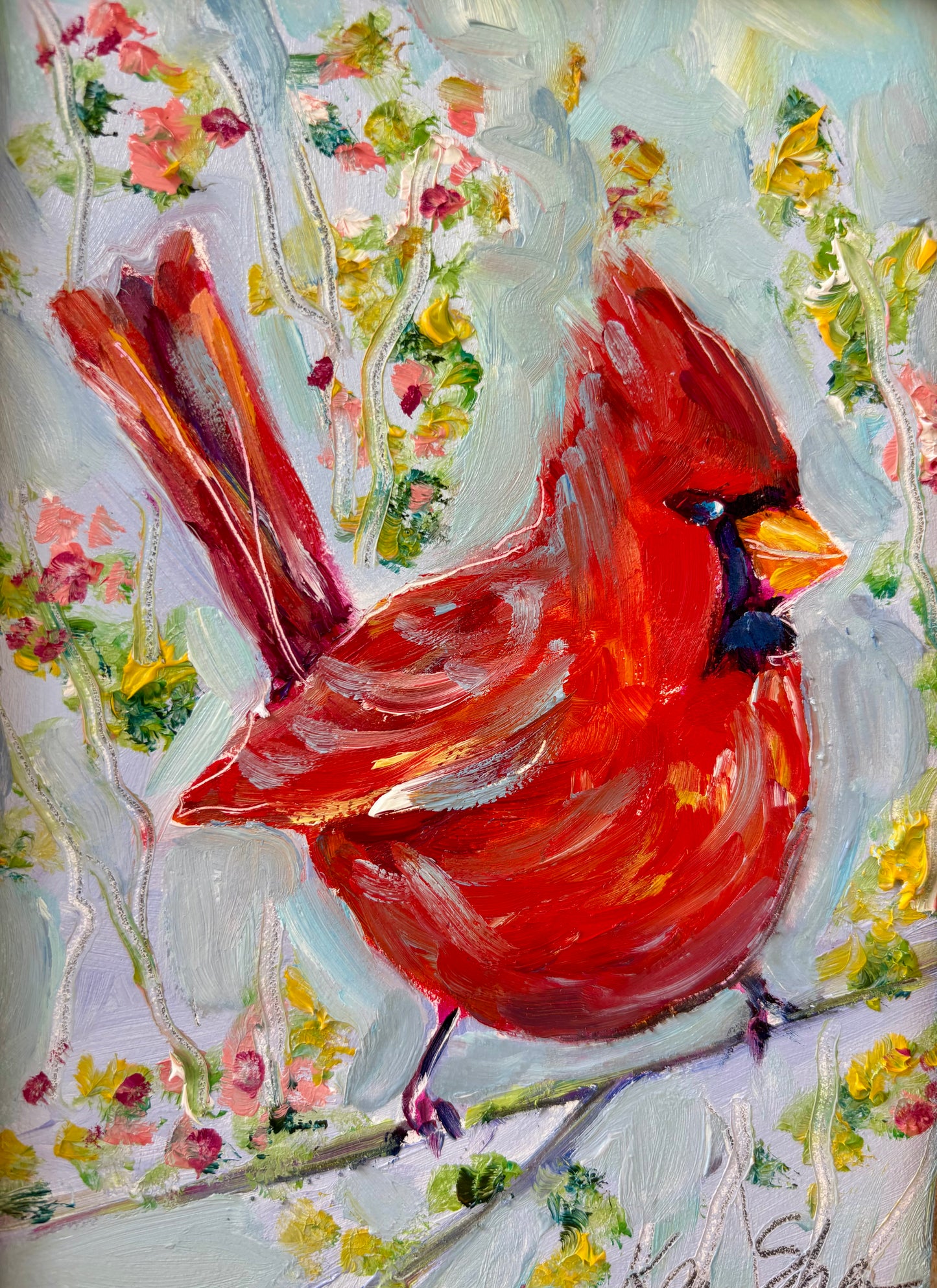 Morning Cardinal
