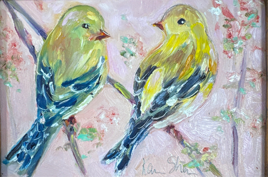 Gold Finch Love Birds