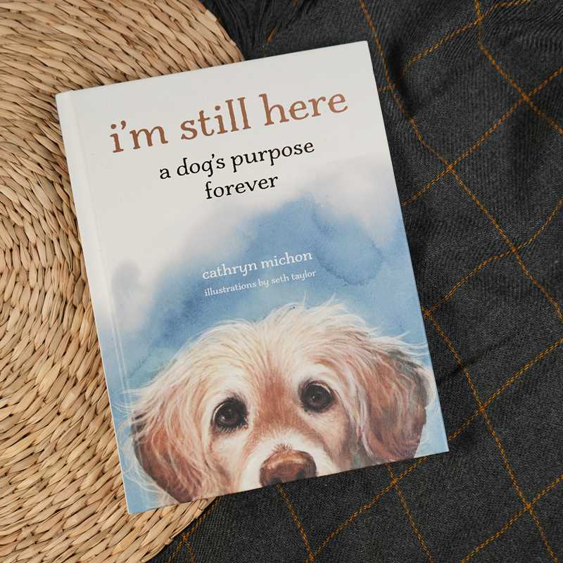 I'm Still Here by Cathryn  Michon