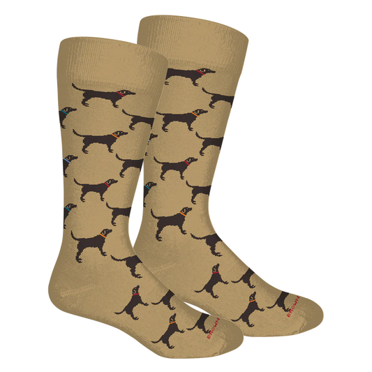 Labs- Khaki
