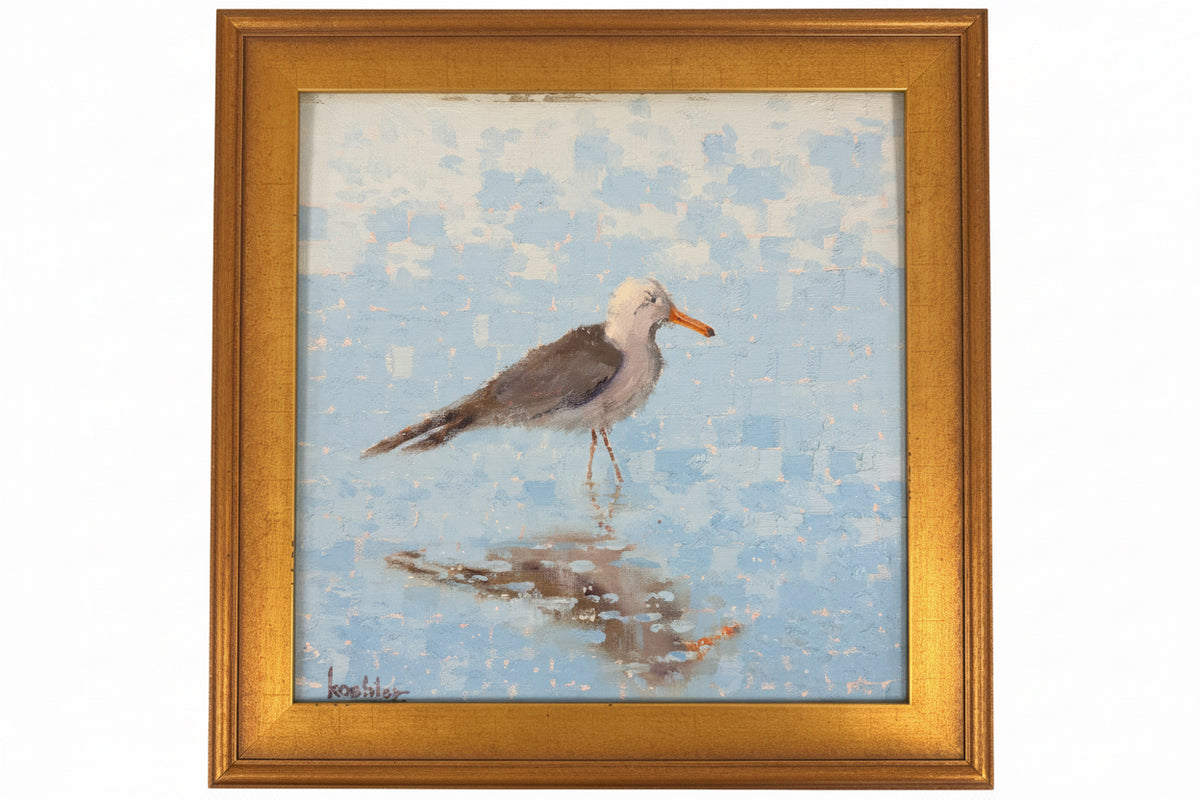 Beach Gull
