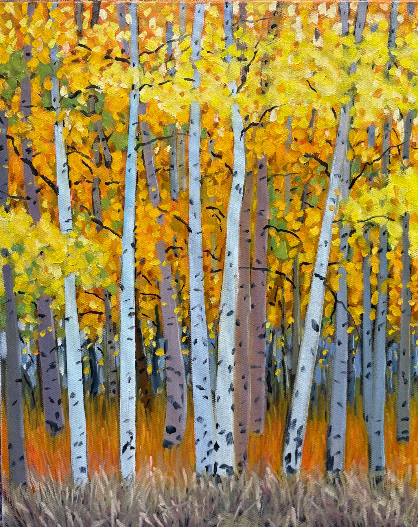 Aspen Grove
