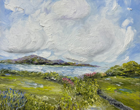 Meanwhile in County Down