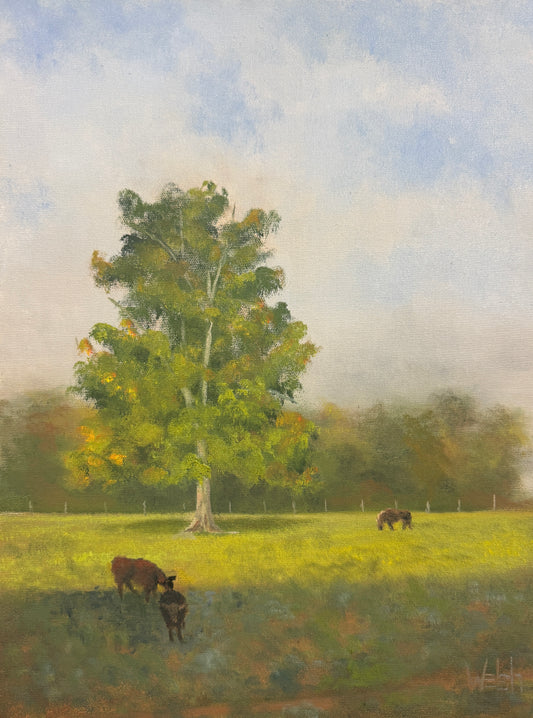 Grazing Along Blue Creek