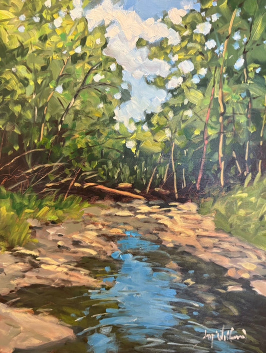 Forest Creek