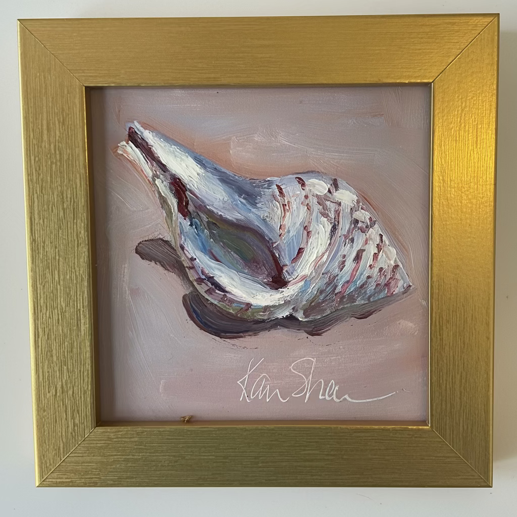 Tulip Shell
