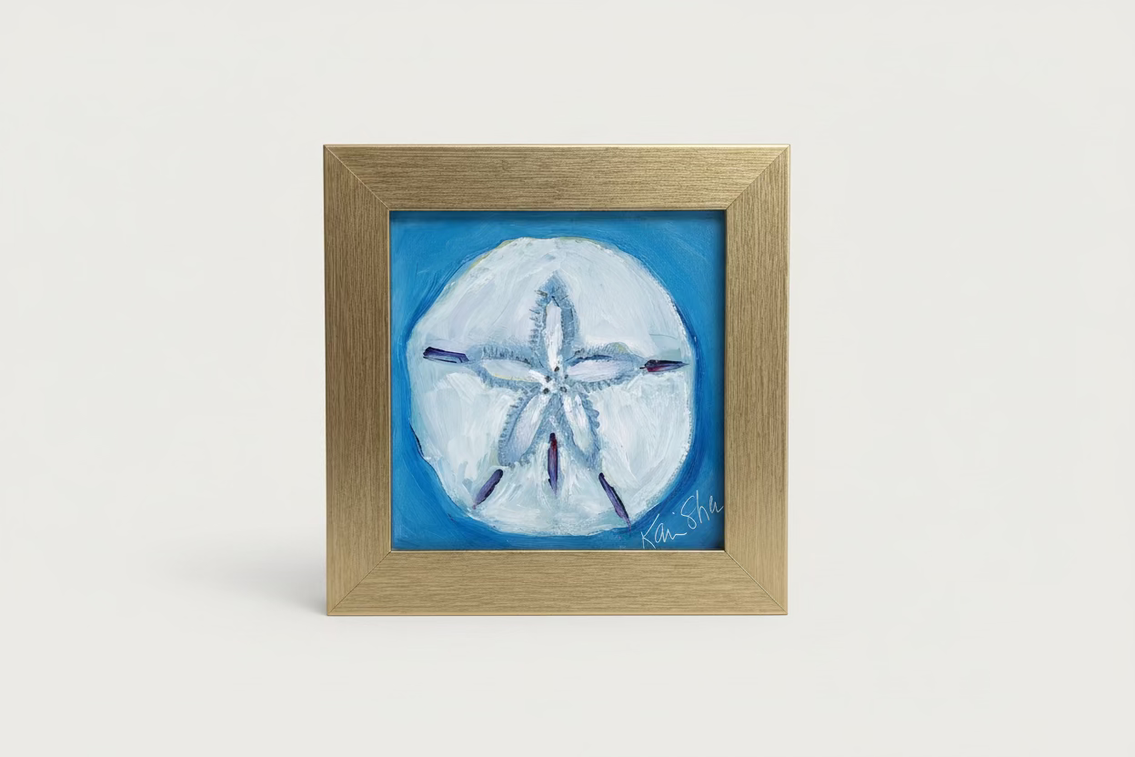 Sand Dollar