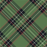 Green Plaid Cocktail Napkins/PK 20