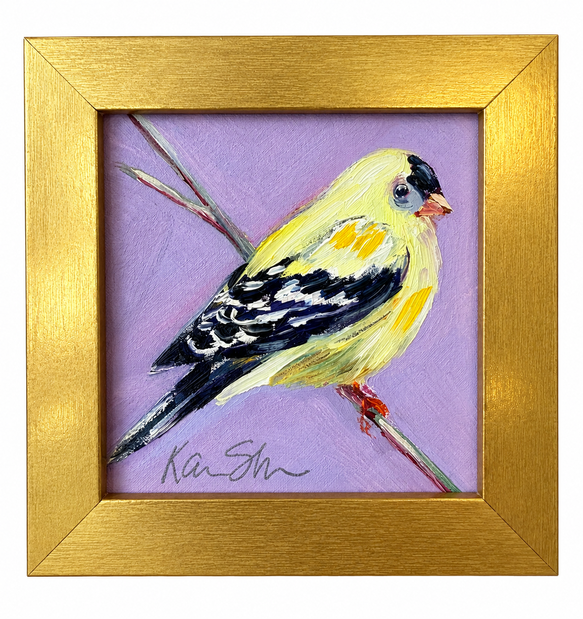 American Gold Finch