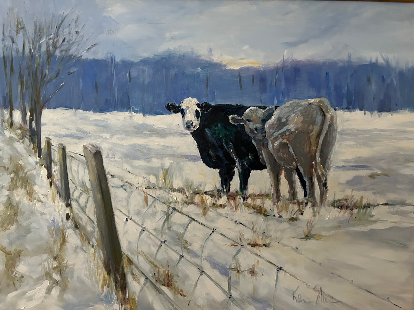 Winter Cows