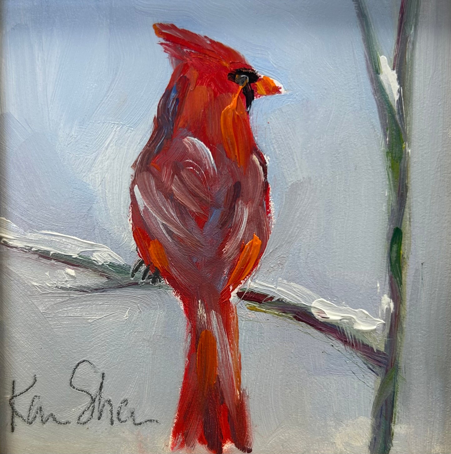 Winter Cardinal
