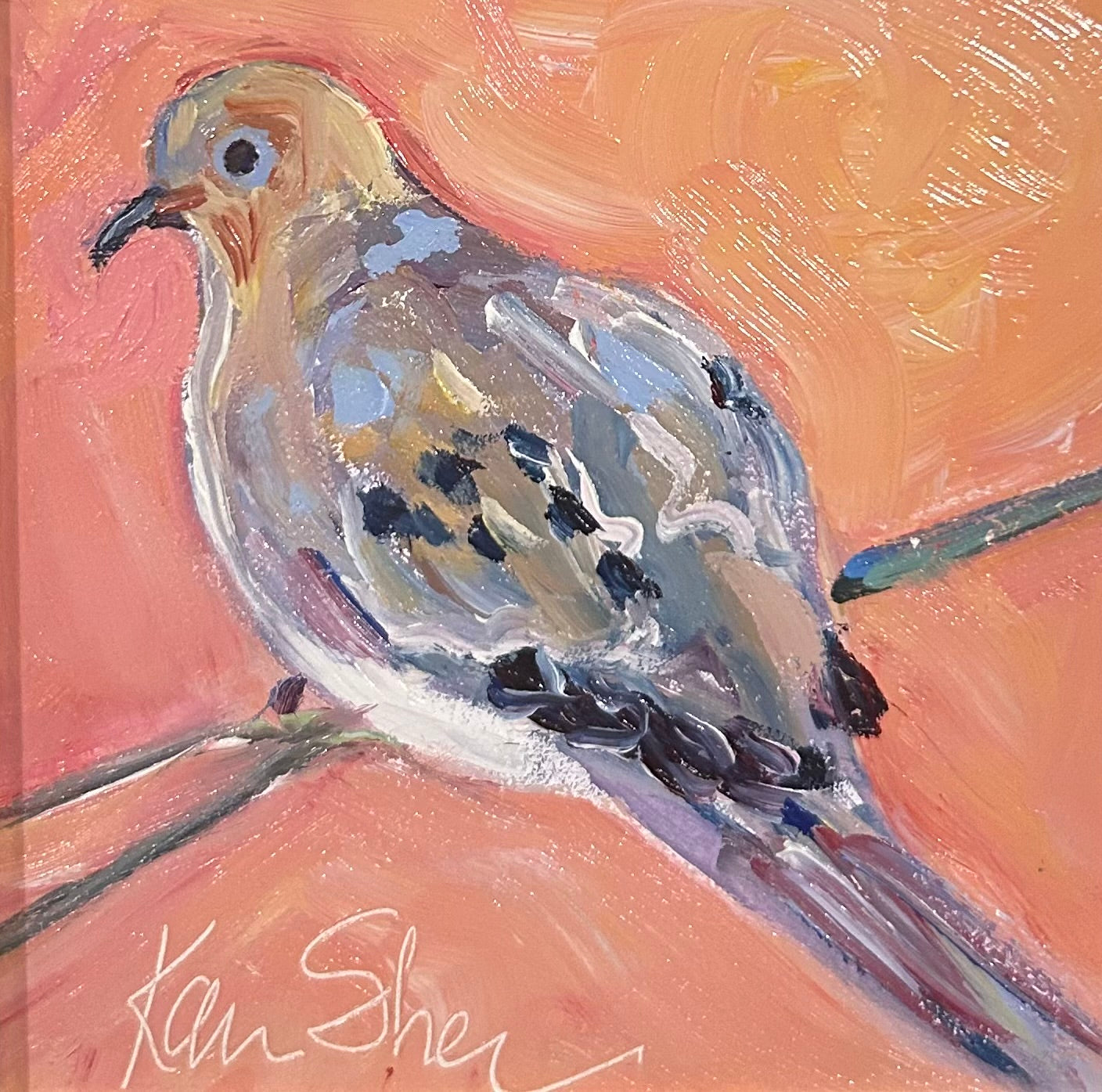 Mourning Dove