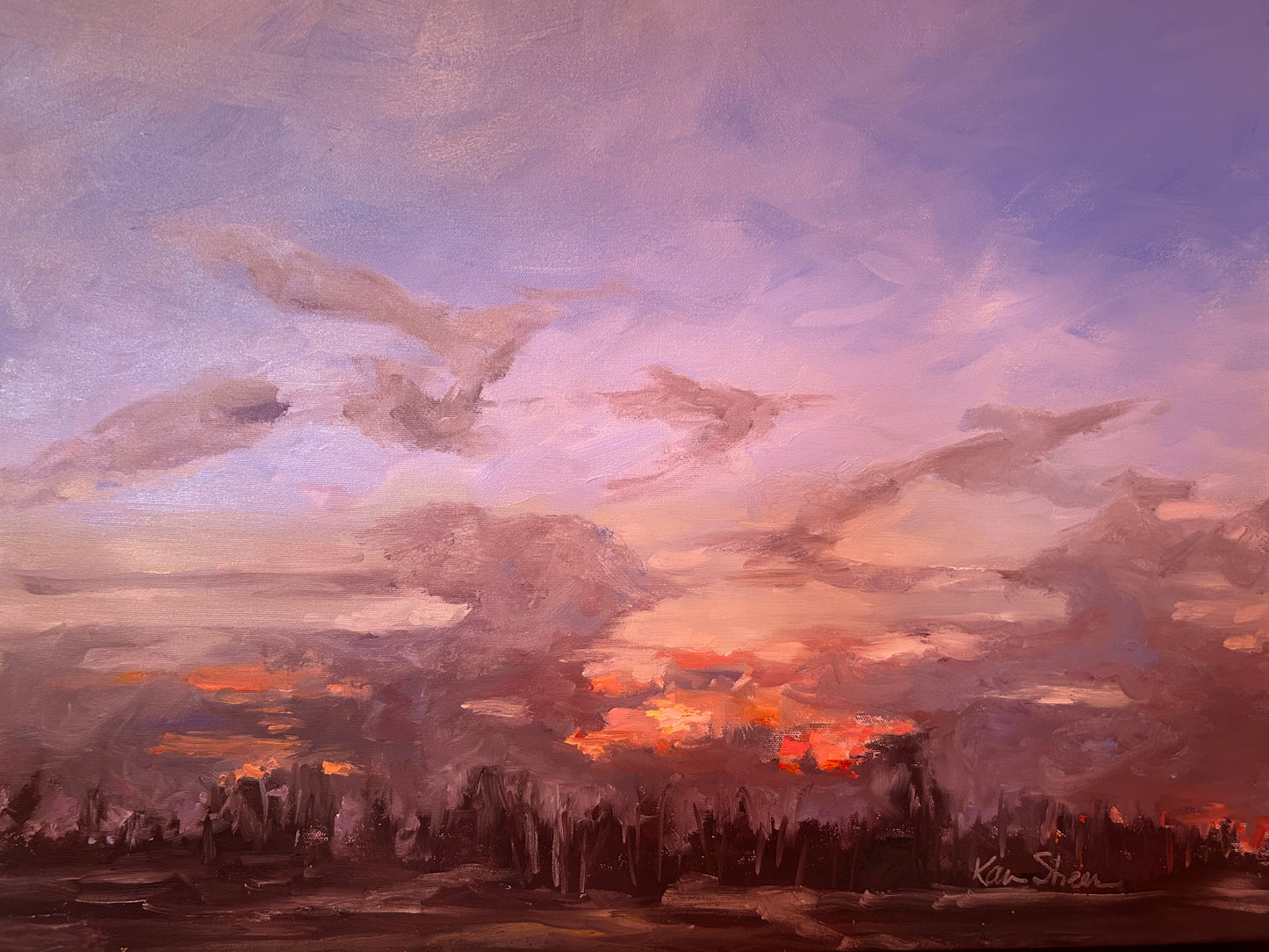 Early March Sunset