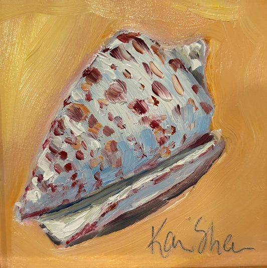 Conus Shell