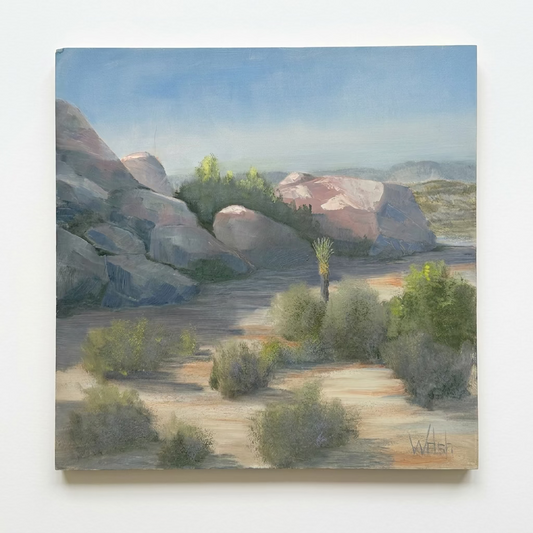 Joshua Tree In The Sun