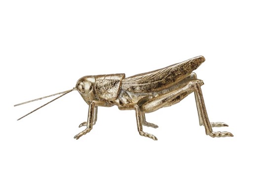 Gold Grasshopper