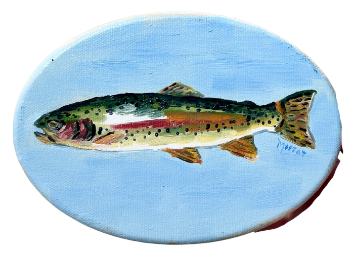 Fresh Catch II