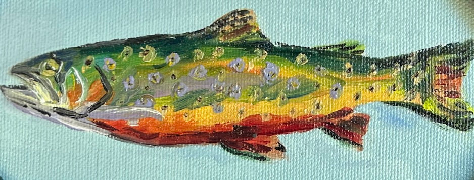 Brook Trout